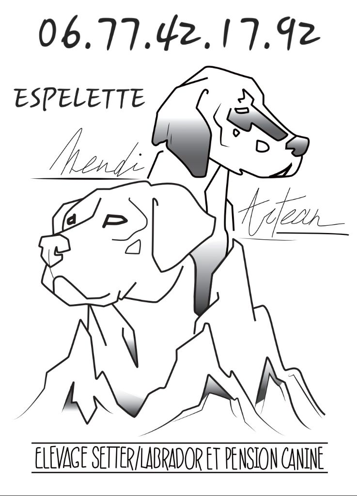 Photo PENSION CANINE MENDI ARTEAN