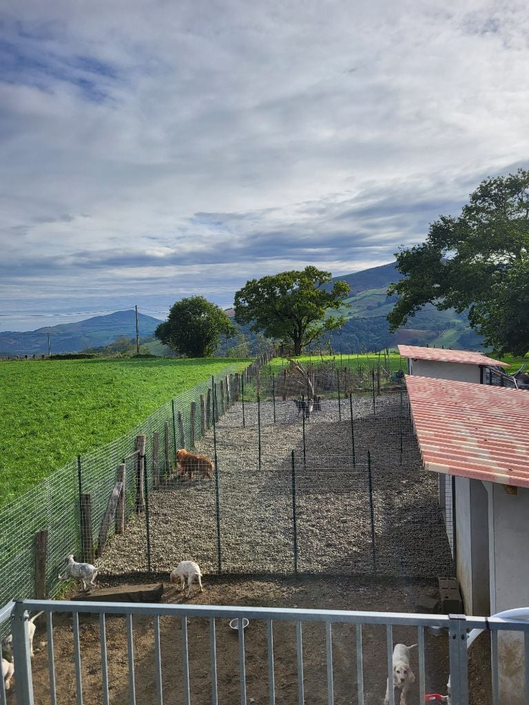 Photo PENSION CANINE MENDI ARTEAN