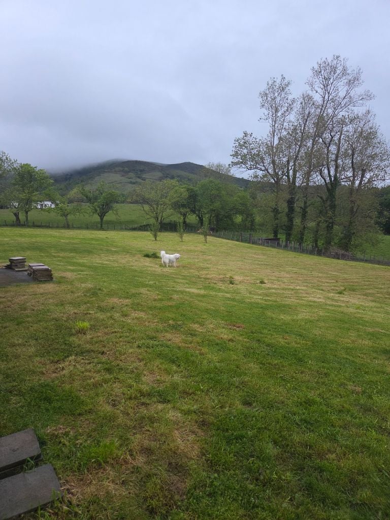 Photo PENSION CANINE MENDI ARTEAN