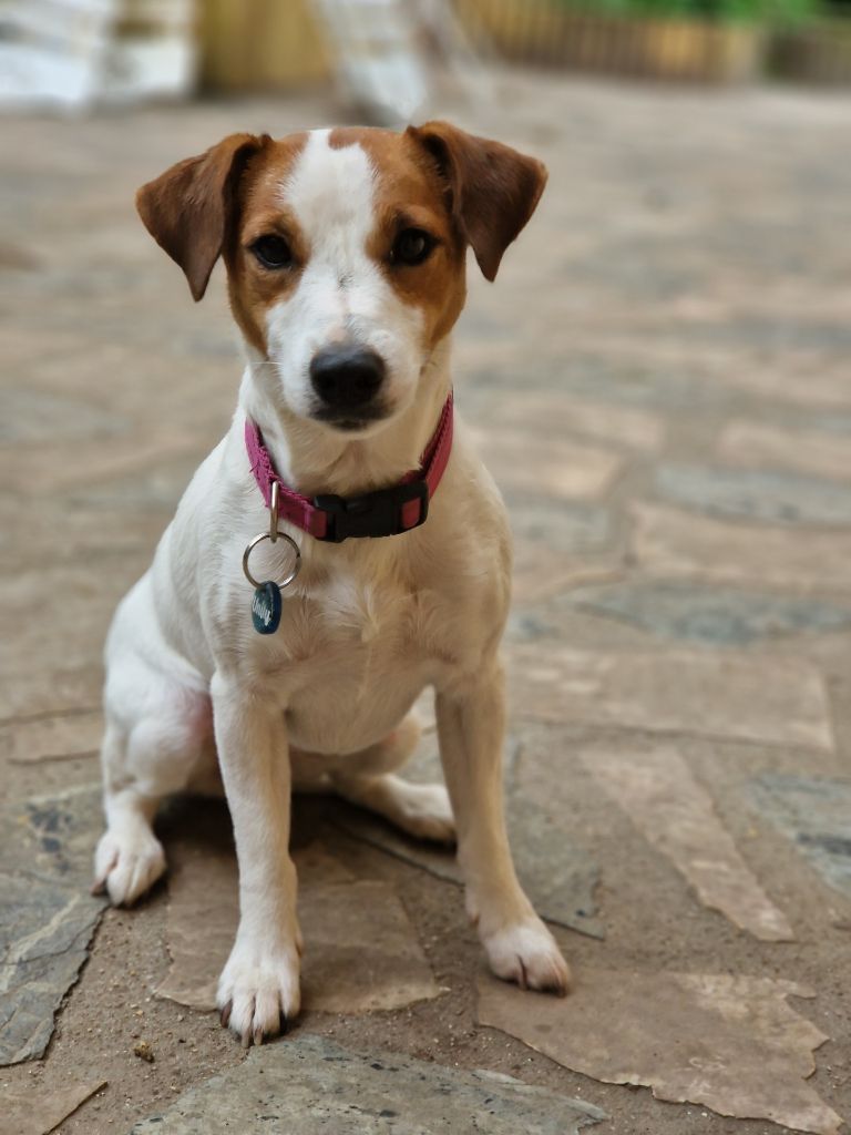 Unity special raptor love (Sans Affixe)