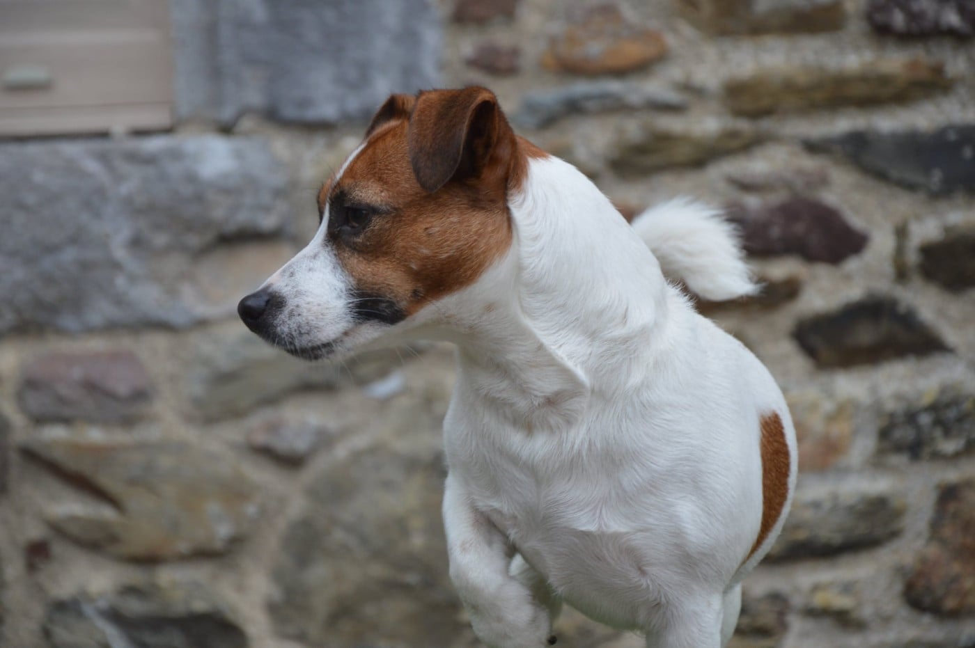 Umy du pont du riot d'Esnes