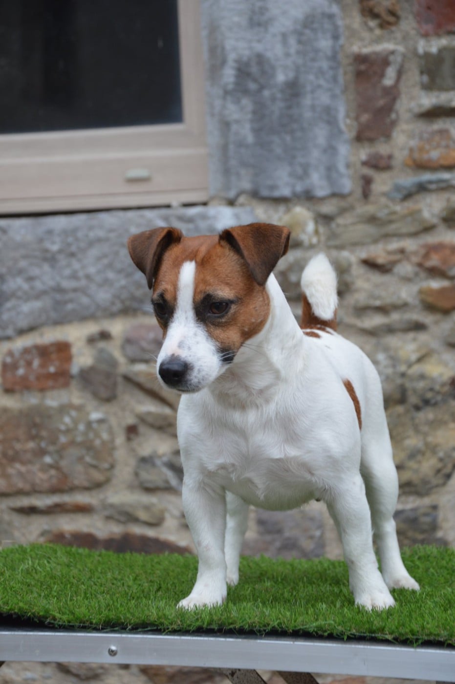 Umy du pont du riot d'Esnes