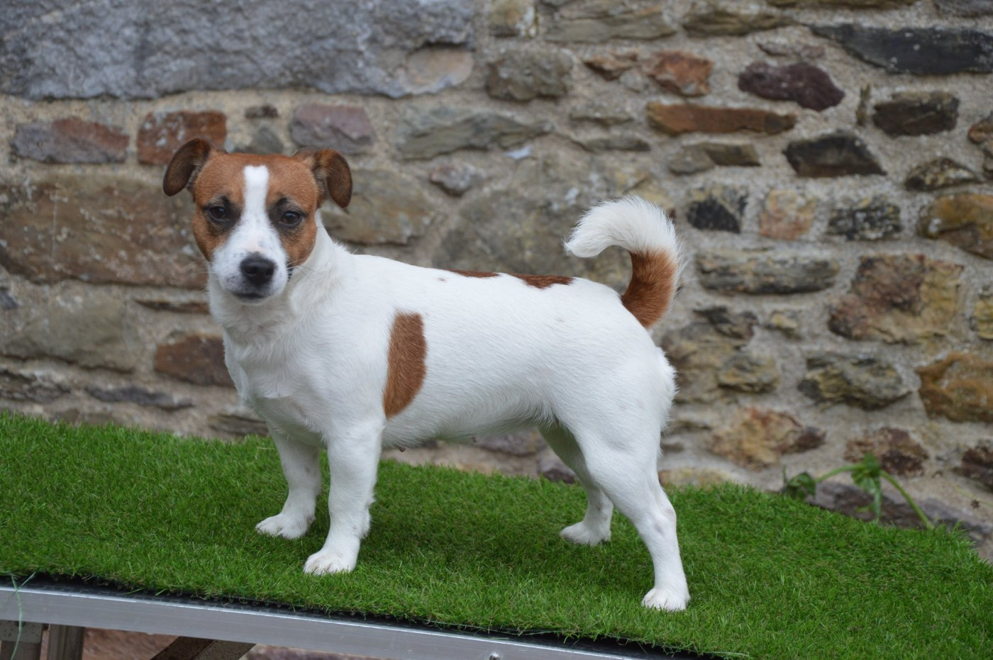 Umy du pont du riot d'Esnes