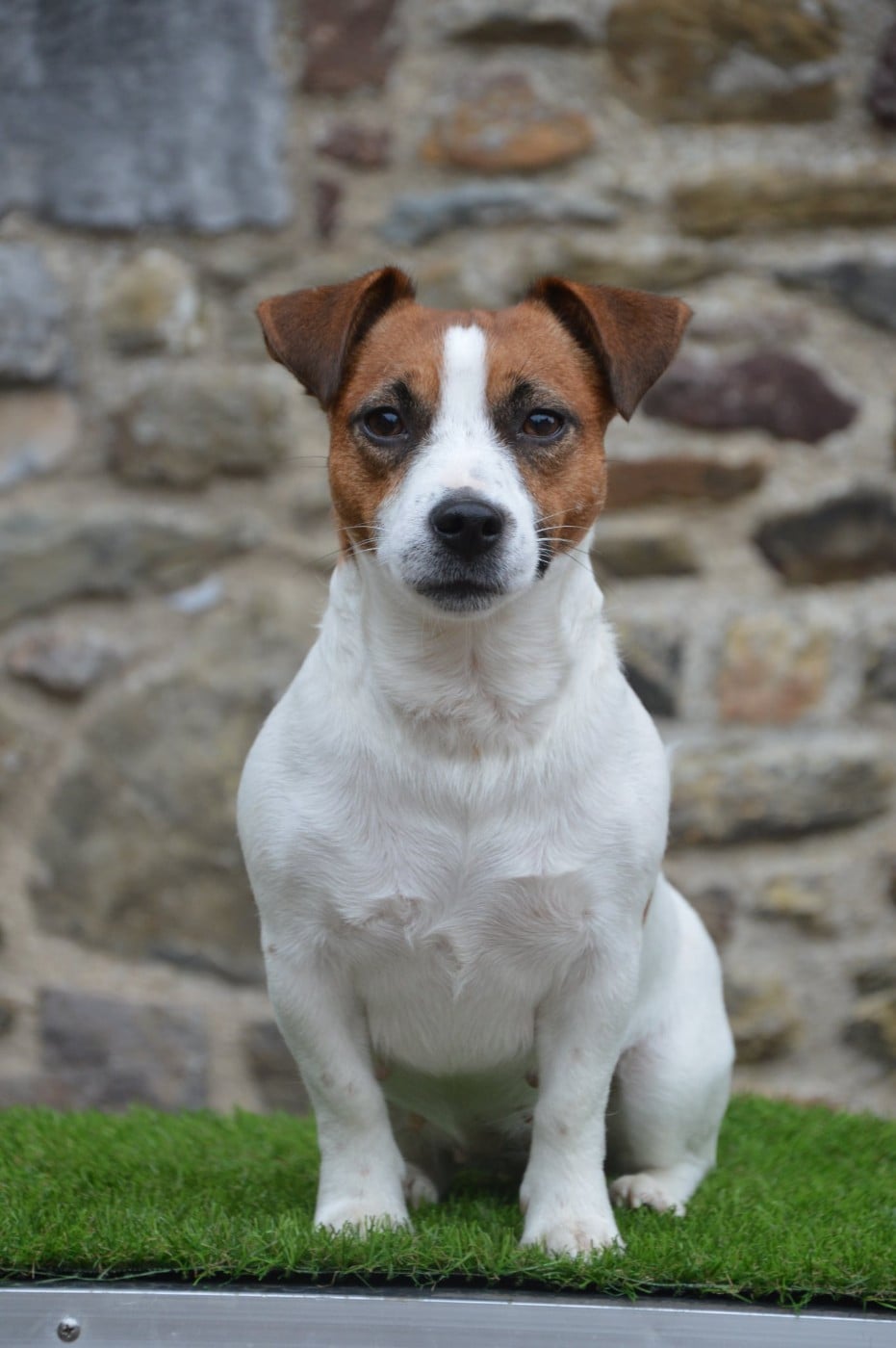 Umy du pont du riot d'Esnes