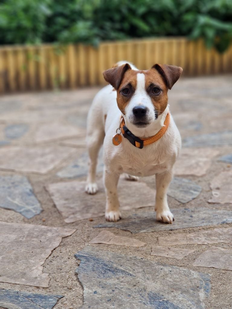 Umy du pont du riot d'Esnes