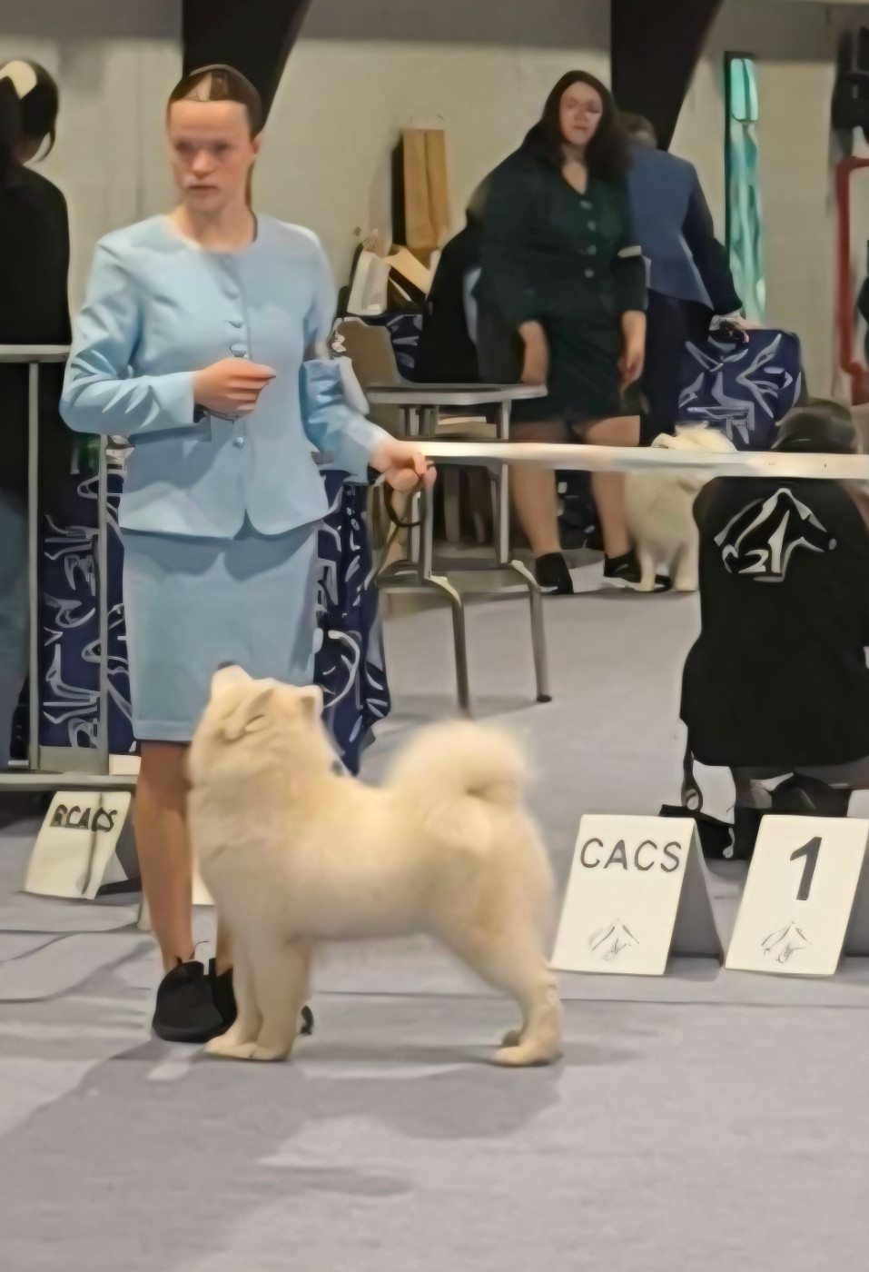 Beast Scylla De La Colombe Martiniquaise - TP2 - classe Baby