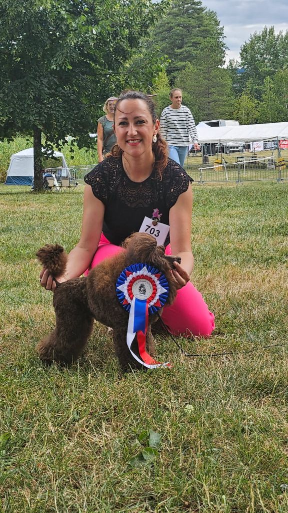 Le Royaume De Loz'ayre Very pretty brown