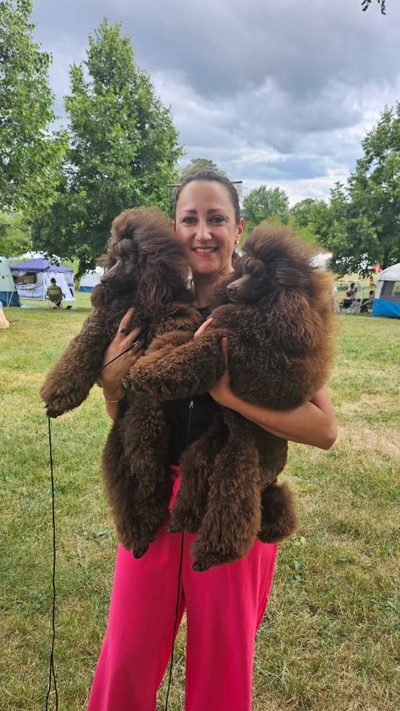 Le Royaume De Loz'ayre Very pretty brown