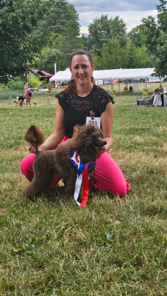 Le Royaume De Loz'ayre Very pretty brown