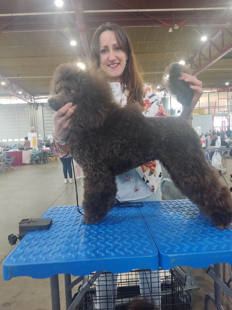 Le Royaume De Loz'ayre Very pretty brown