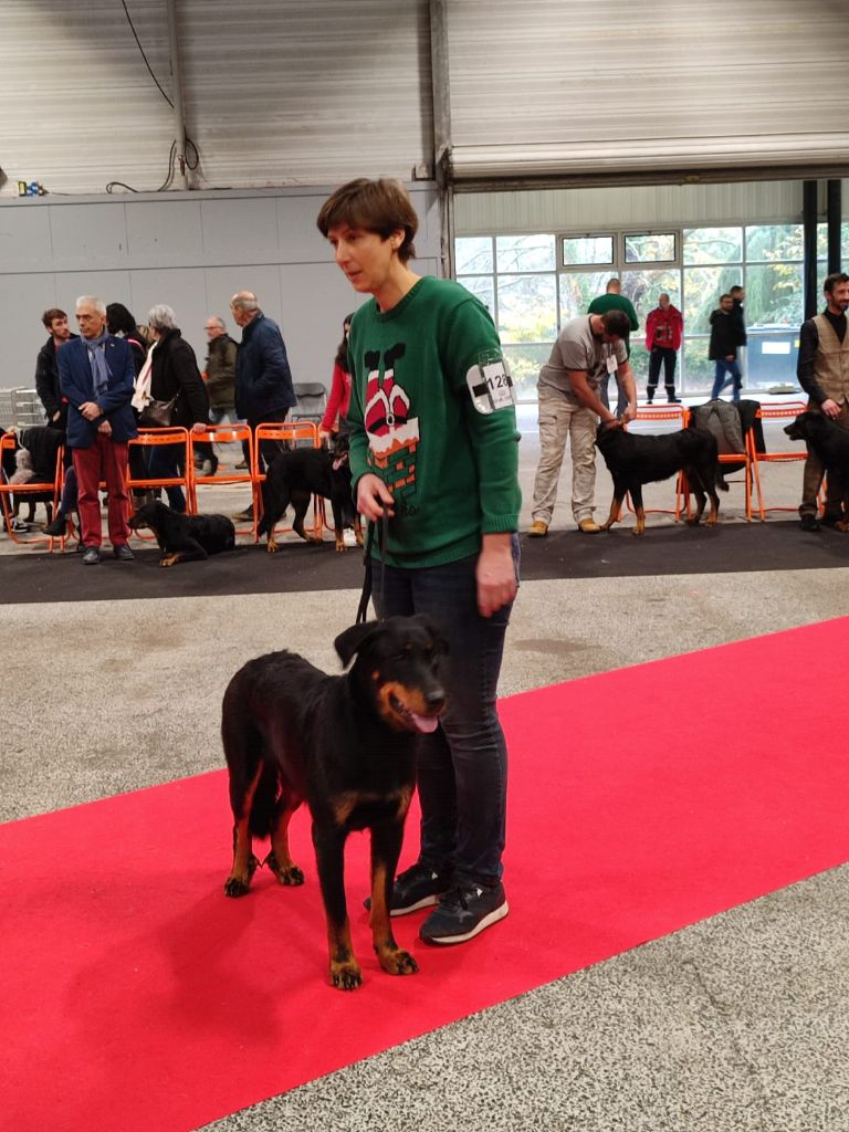 Tochka du Seize Thermidor - Excellent, 2eme intermédiaire