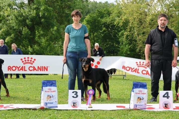 Tochka du Seize Thermidor - Obtient la cotation 4. 3ème classe intermédiaire