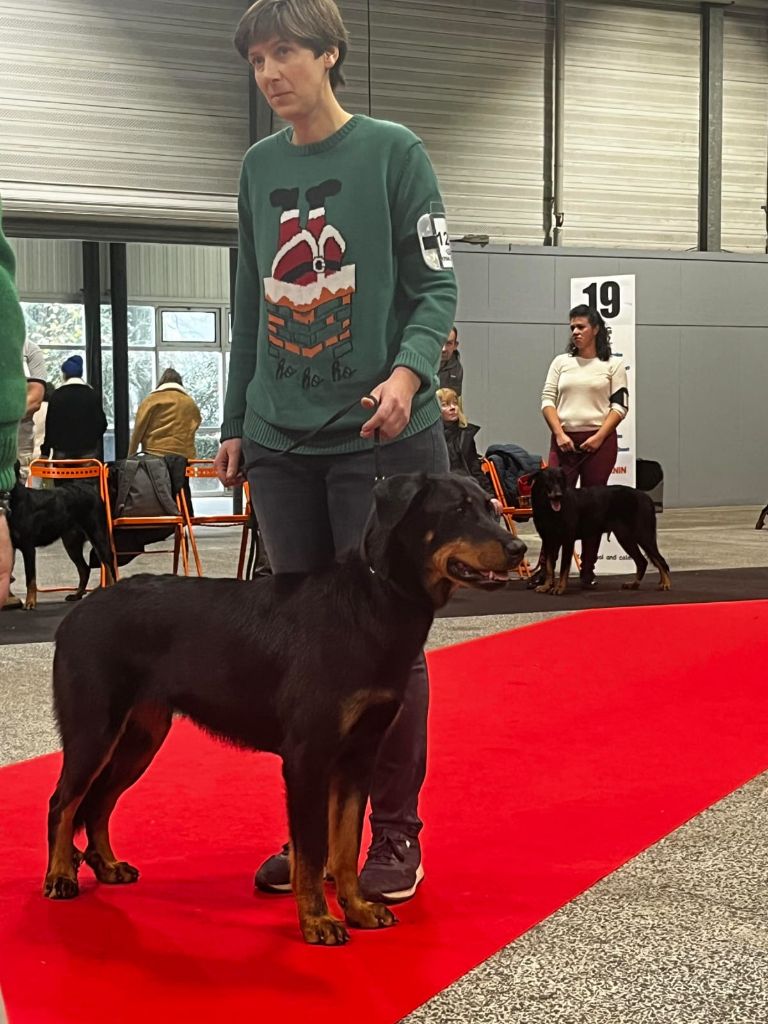 Tochka du Seize Thermidor - Excellent, 4eme classe intermédiaire