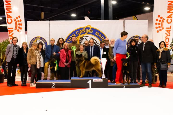 Tochka du Seize Thermidor - 3eme meilleur de l'exposition