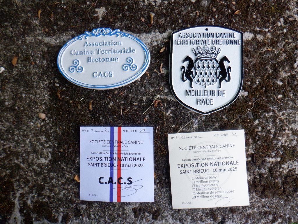 Tochka du Seize Thermidor - CACS, MEILLEUR DE RACE