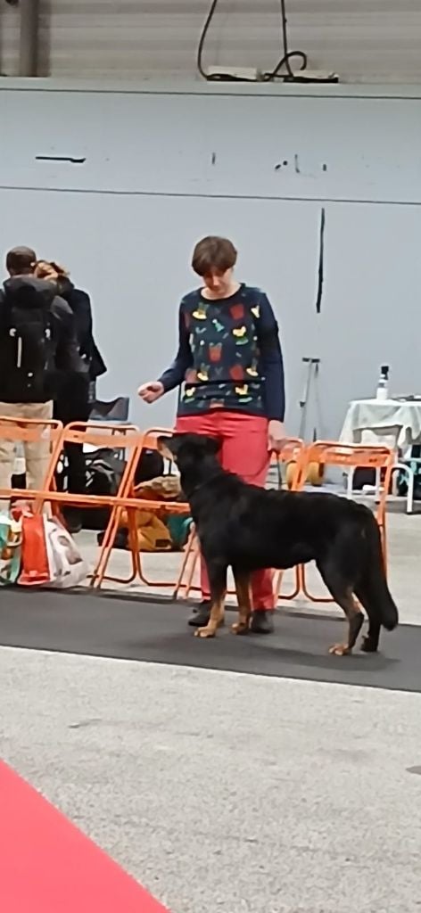 Tochka du Seize Thermidor - 2eme excellent, classe ouverte, RCAC