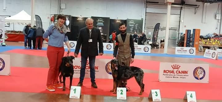 Tochka du Seize Thermidor - CACS, meilleur de race