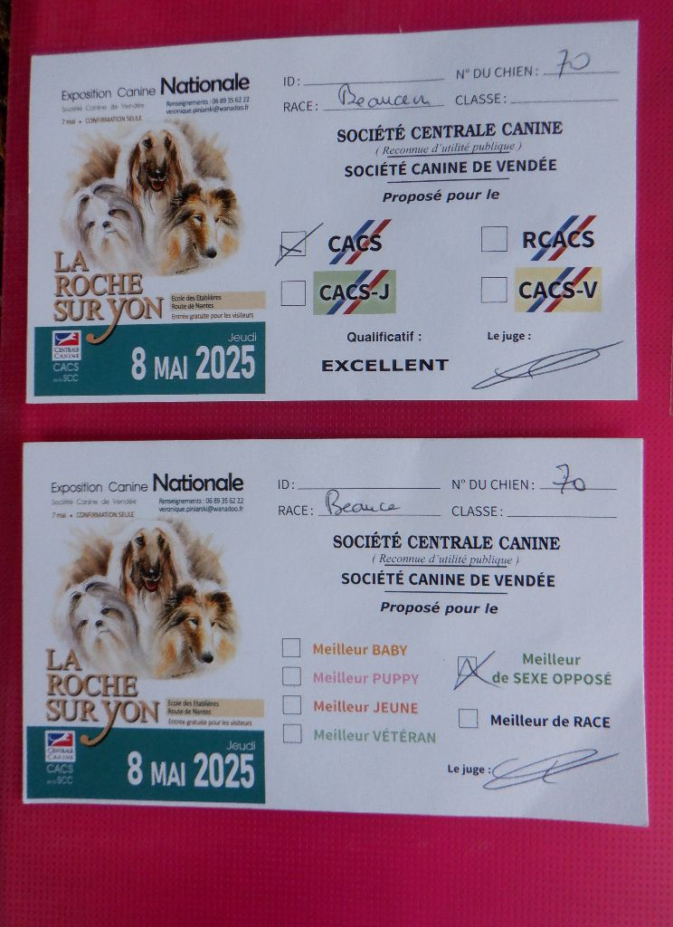 Tochka du Seize Thermidor - CACS, MEILLEUR DU SEXE OPPOSÉ