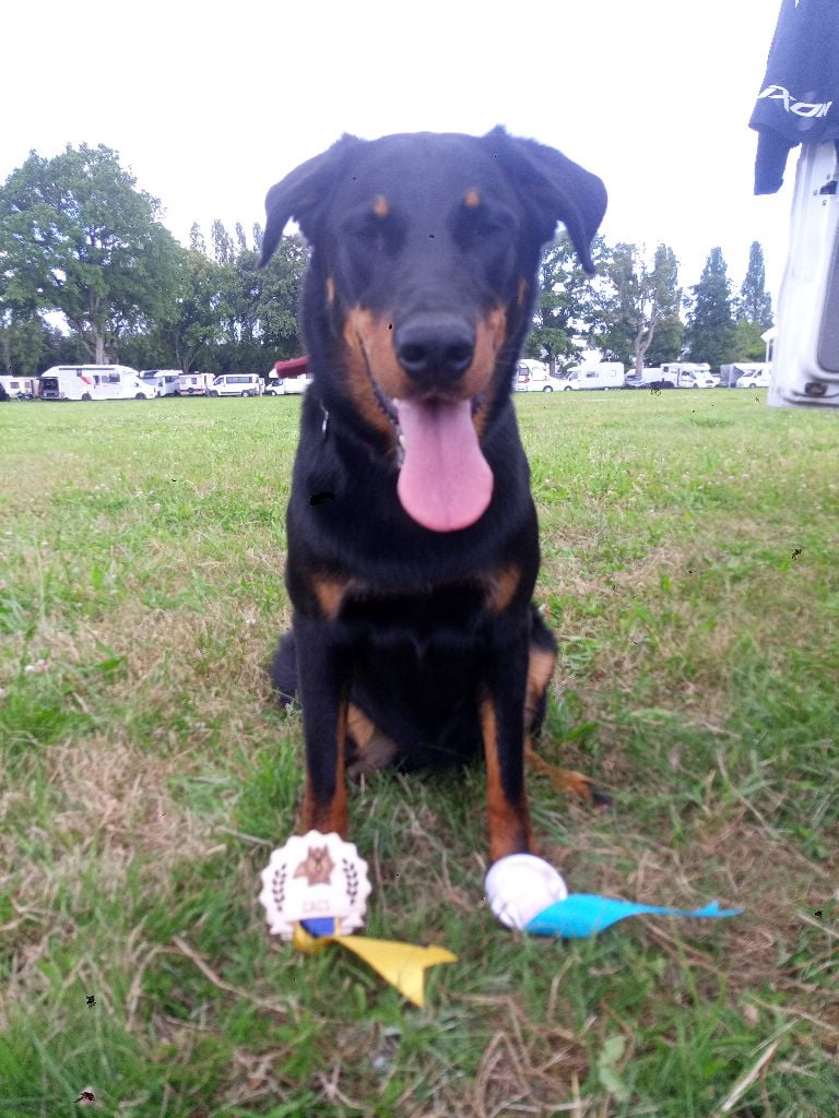 Tochka du Seize Thermidor - CACS , meilleur du sexe opposé