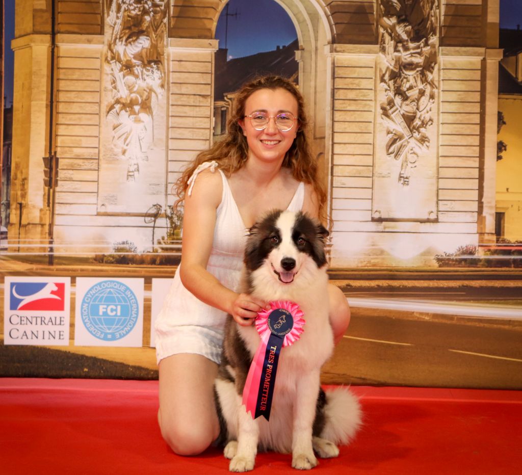 Dust Of Snow Underworld sonja akenaï - 1 TRES PROMETTEUR MEILLEUR PUPPY