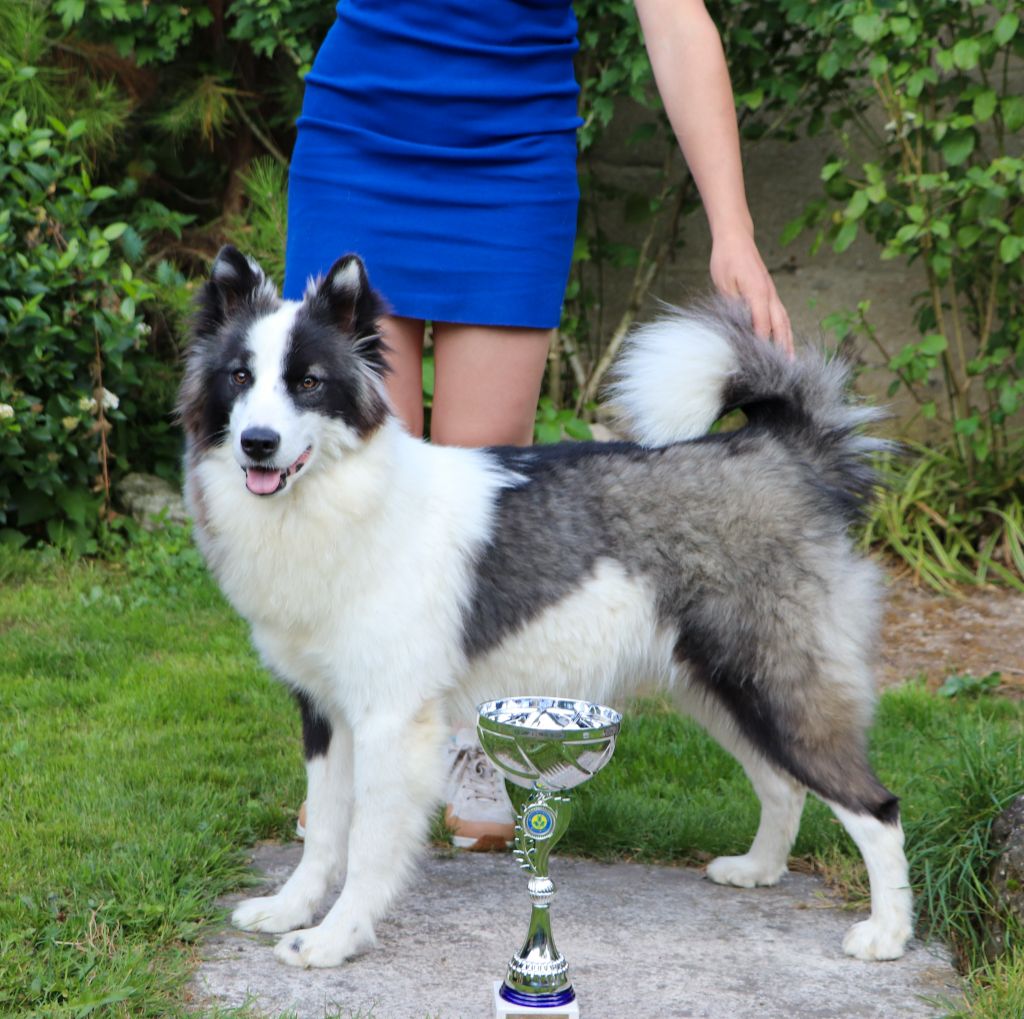 Dust Of Snow Underworld sonja akenaï - 1 EXCELLENT CACS-J MEILLEUR JEUNE