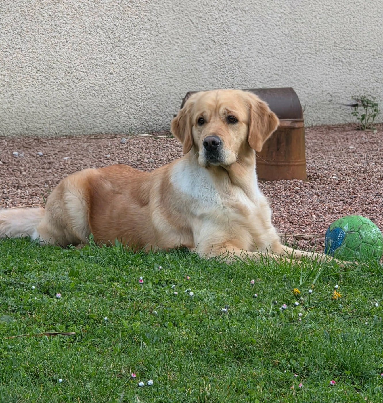 Publication : Des Sables D'Or D'Avalonne