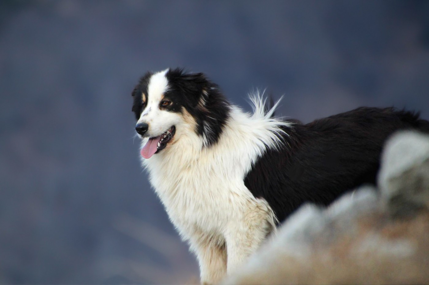 Umbria du Feeling de Nolister