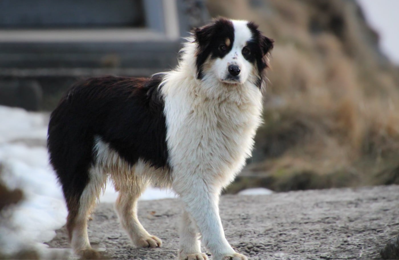 Umbria du Feeling de Nolister