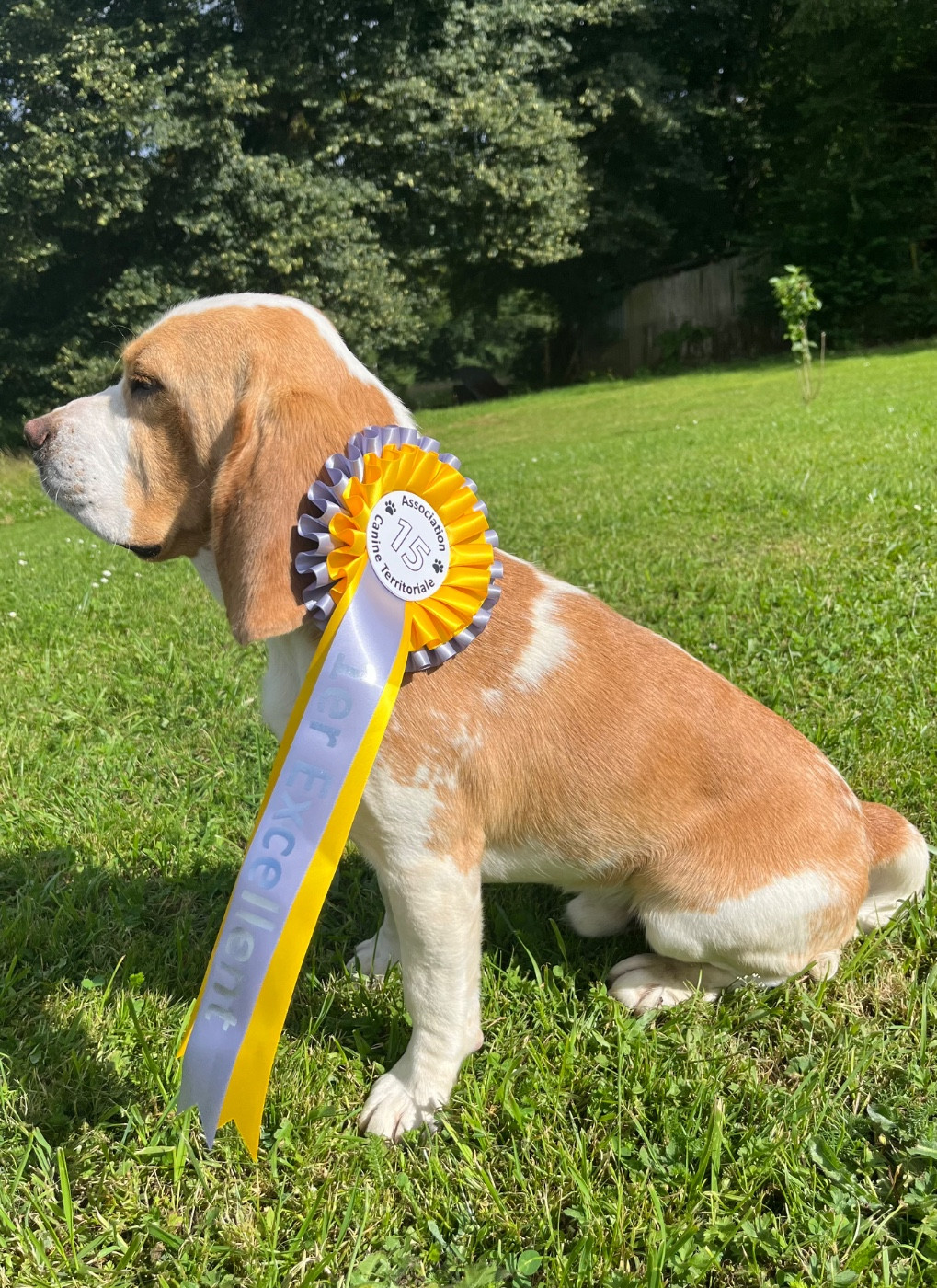 Usko Du domaine de la villatelle