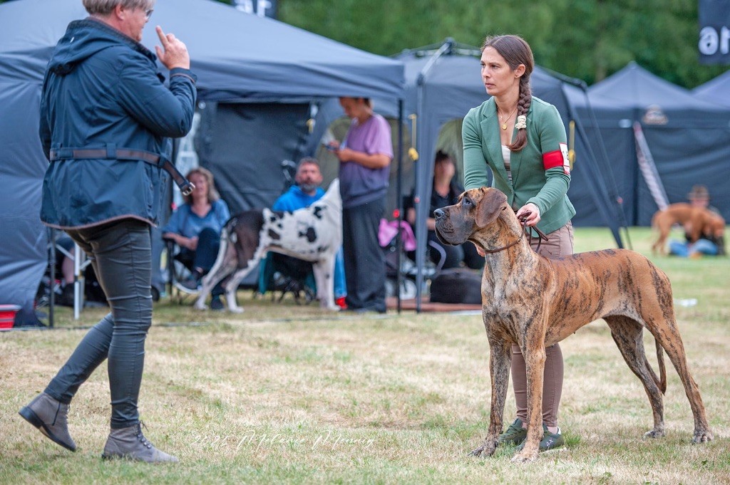 Des Gardiennes De Reves Xilou dit violette