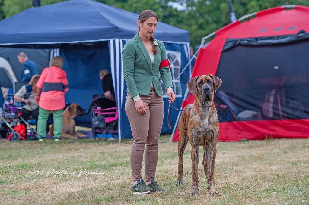 Des Gardiennes De Reves Xilou dit violette