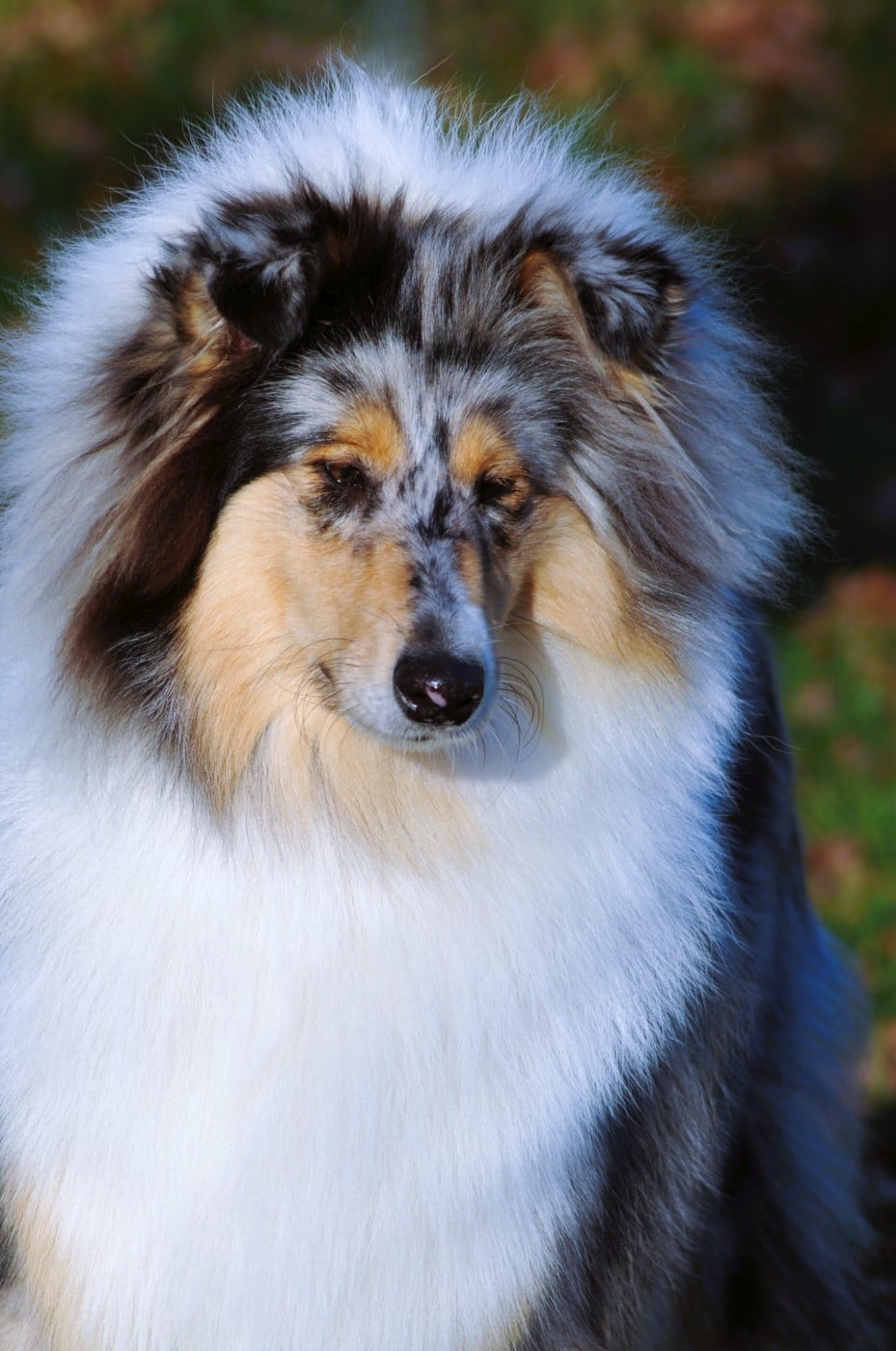 Unique sparkle fellow of eternity