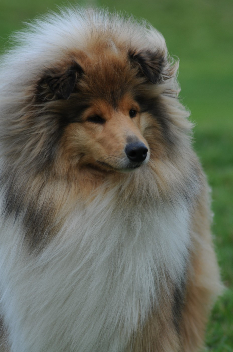 CH. Un air embaumé of lowland's green valley
