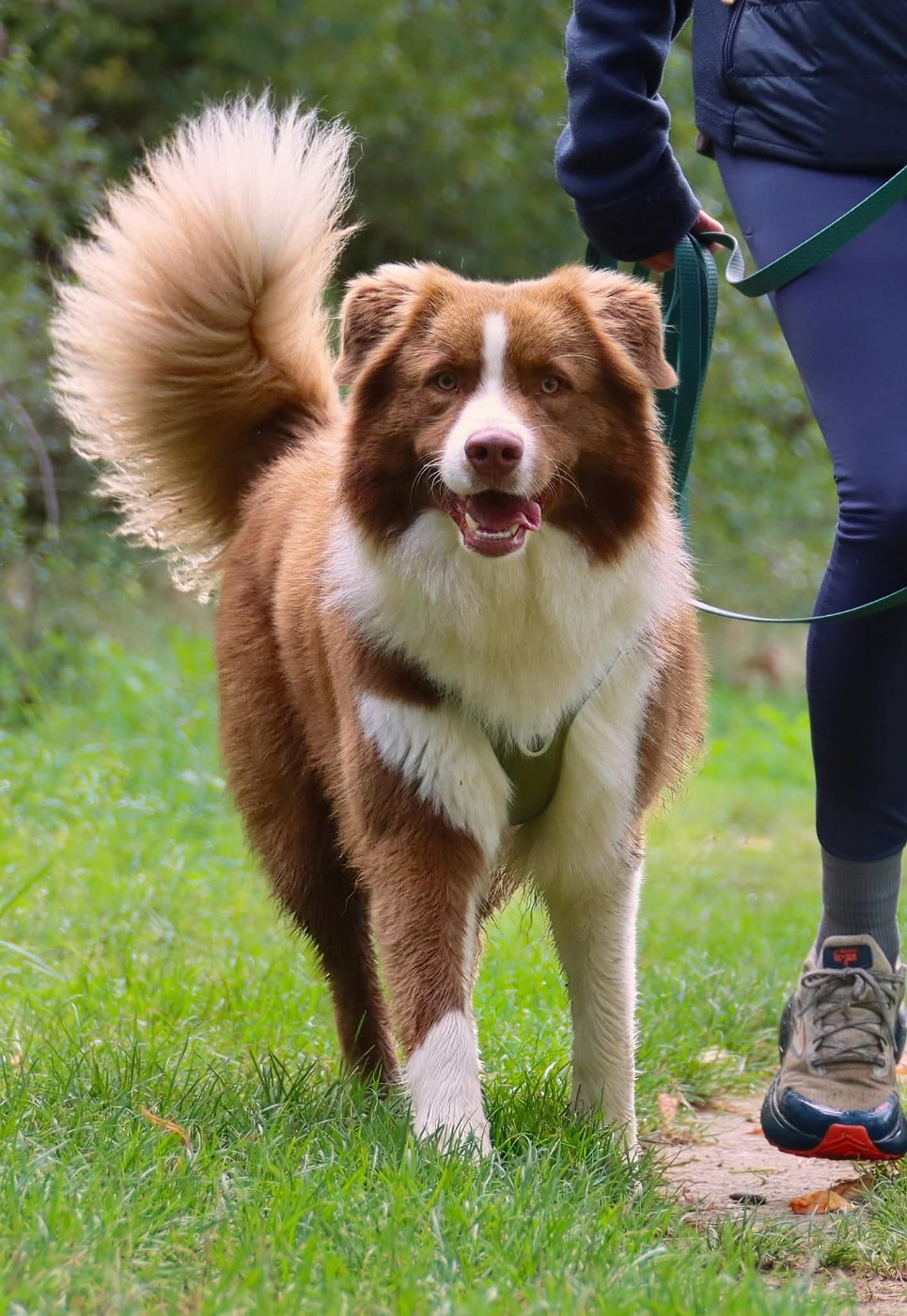 Publication : Des Espoirs De Simahé