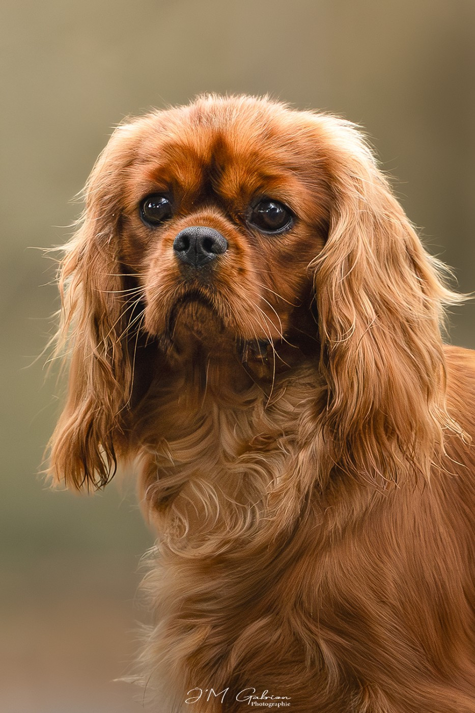 Vivo per lei Des Lords De Mao