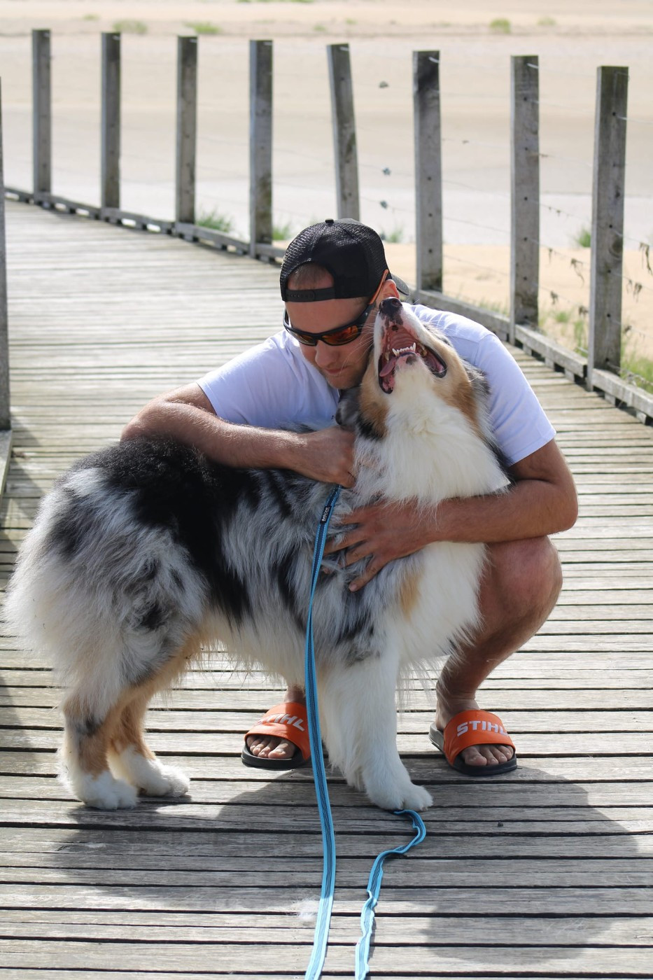 Chameleon  srdcove eso