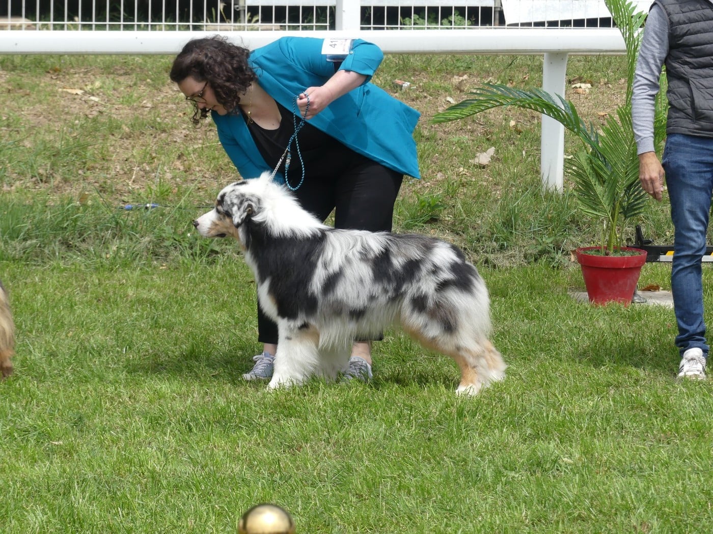 Chameleon  srdcove eso