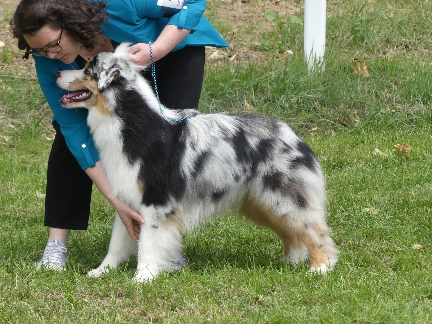 Chameleon  srdcove eso