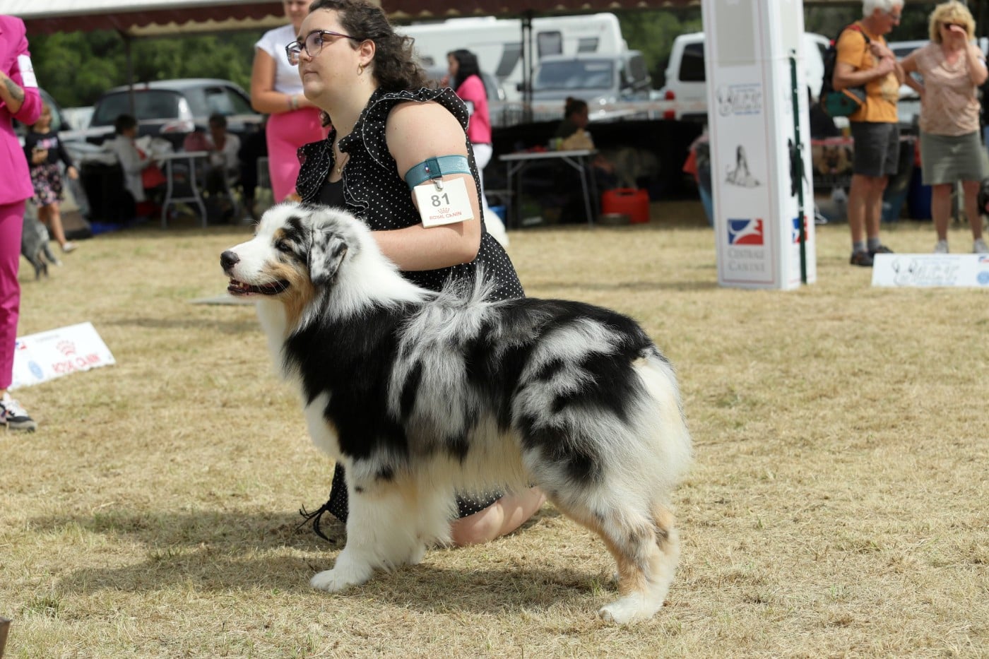 Chameleon  srdcove eso