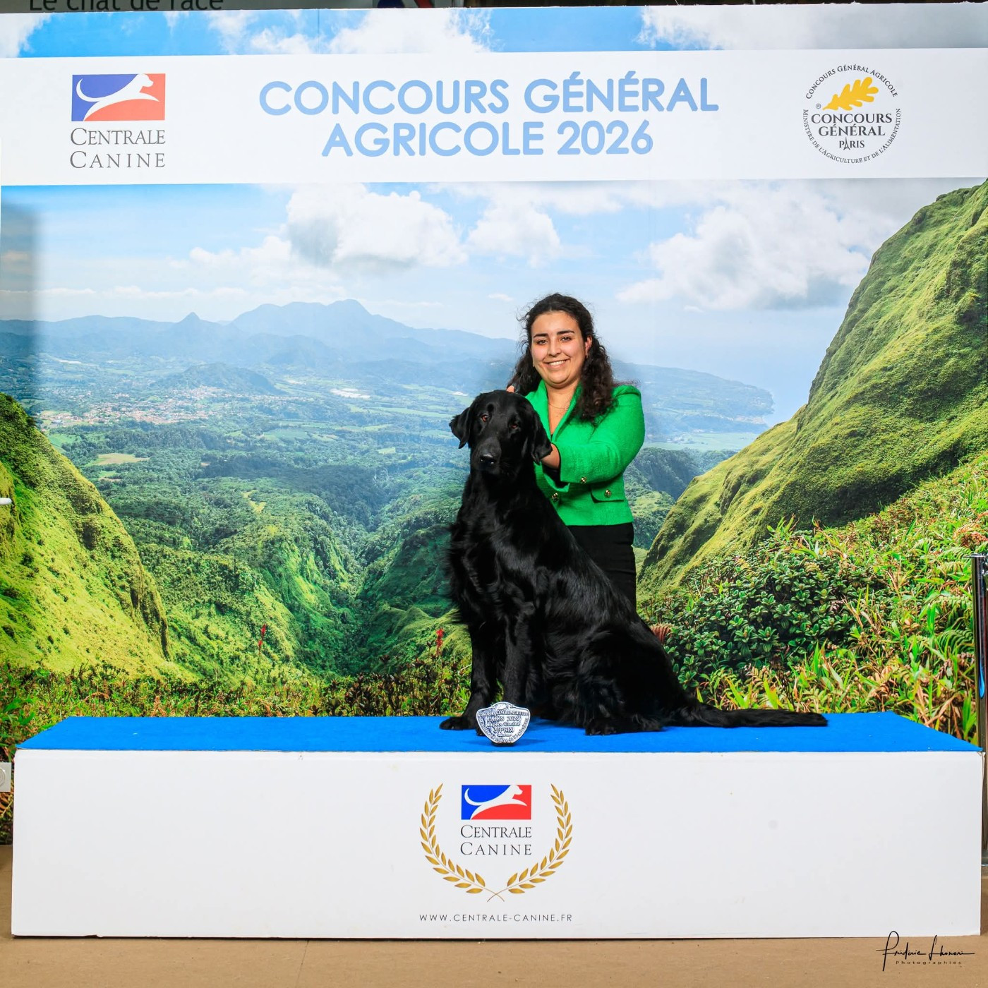 CH. Masterpiece in one piece dit ravel optimus canis