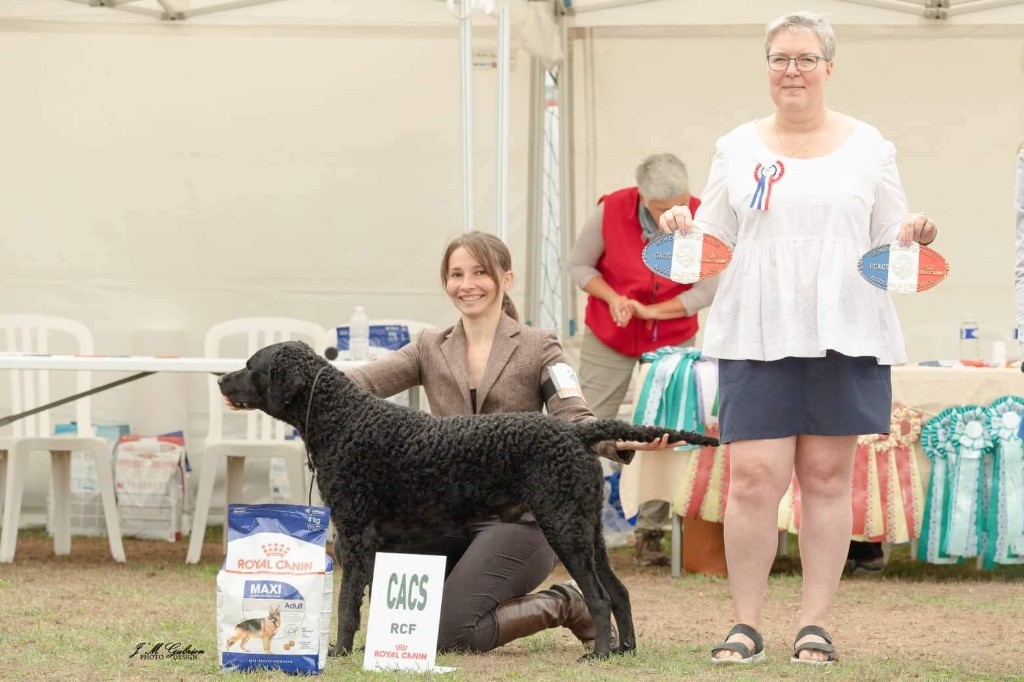 CH. Rambo du phare de la Vierge - CACS - Meilleur de Race