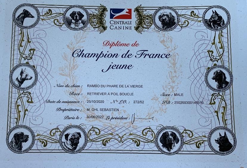 CH. Rambo du phare de la Vierge - Meilleur Jeune - Champion Jeune de France