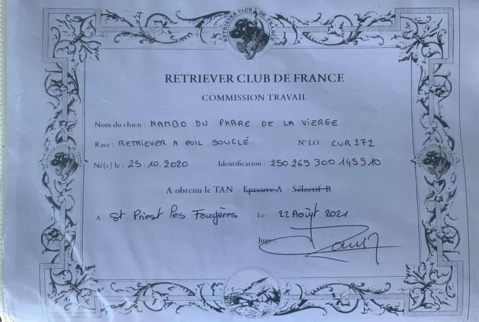 CH. Rambo du phare de la Vierge - TAN