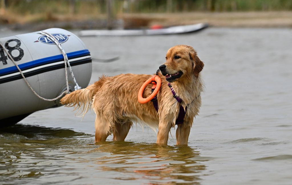 Vague de la victoire De La Source Des Naïades