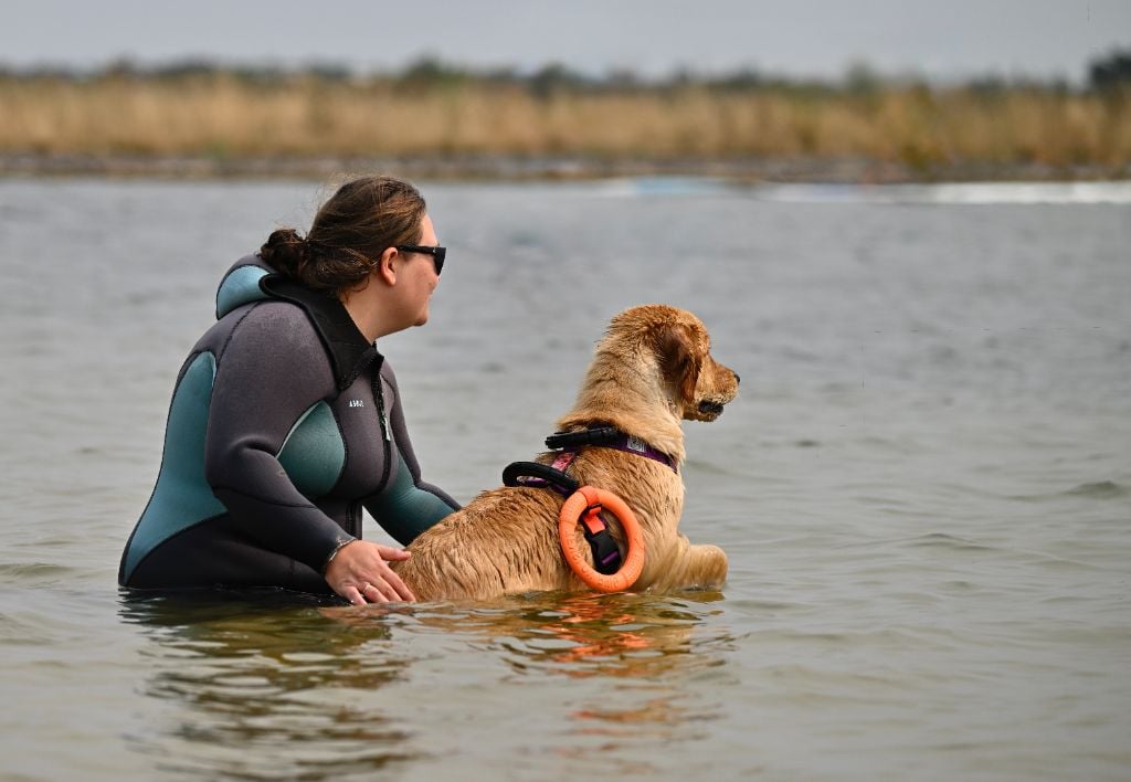 Vague de la victoire De La Source Des Naïades
