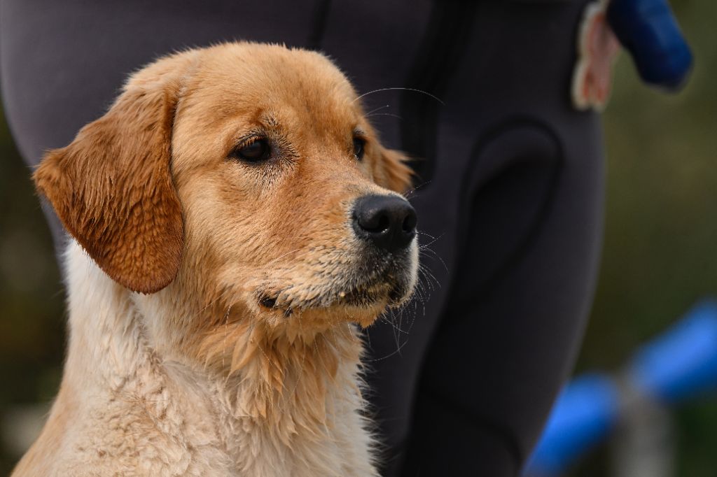Vague de la victoire De La Source Des Naïades