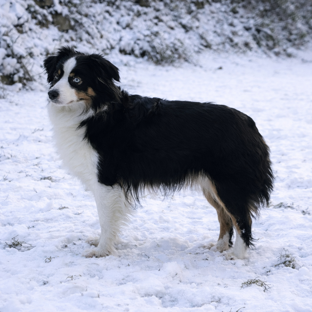 Publication : Eyes Of Light