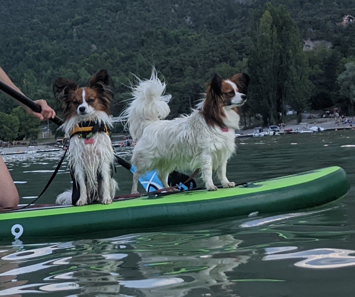 CH. Una (Sans Affixe)