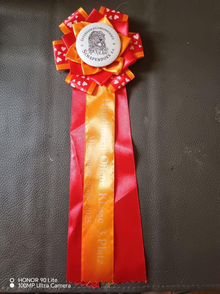 CH. Thylia litha grise Du bois des nonnes - 3ème Exc