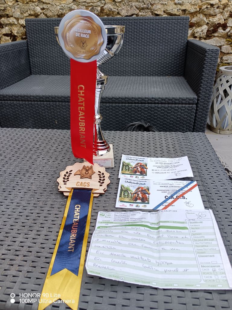 CH. Thylia litha grise Du bois des nonnes - 1er Exc - CACS - Meilleur de Race - 3ème du Groupe 1